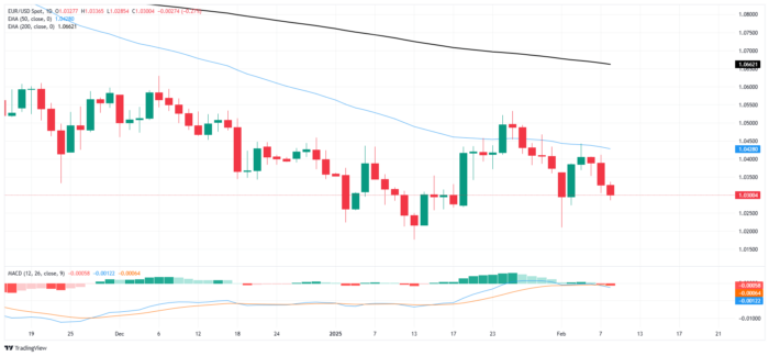 پیش بینی یورو دیدبان: اخبار فارکس